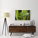 Green Iguana Amid Green Leaves, Roatan Island, Honduras-Paper Art-50,,X34,,