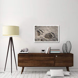 Grizzly Bear Front And Back Paw Prints, Katmai National Park, Alaska-Paper Art-38,,X26,,