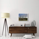 Organ Pipe Cactus Overlooking Chelino Bay, Baja California, Mexico-Paper Art-30,,X24,,