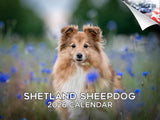 2025 2026 Shetland Sheepdog Calendar - Dog Breed Monthly Wall Calendar - 12 x 18 Open - Thick No-Bleed Paper - Giftable - Academ
