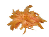 Utkarsh Natural Dyed Orange MultiPurpose Craft Feathers (Approximately 80Pc) For Dream Catcher Artificial Jewelry Making Art &