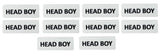 MOREL CLASS HEAD BOY BADGE IN WHITE ACRYLIC PINBACK USE FOR SCHOOL, COLLEGE CLASSES, OFFICE STAFF, NAME BADGE, YOU CAN CUSTOMIZE