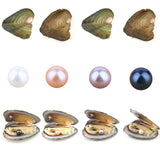4PCS Freshwater Cultured Pearl Oyster with Round Pearls Inside 4 Colors (6.5-7.5mm) Jewelry Making or Birthday Gifts