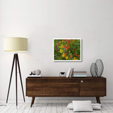 Orange Sneezeweed And Indian Paintbrush Flowers In Meadow, North America-Paper Art-30,,X24,,