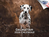 2025 2026 Dalmatian Calendar - Dog Breed Monthly Wall Calendar - 12 x 18 Open - Thick No-Bleed Paper - Giftable - Academic Teach
