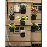 Cappl 10 Pieces Black Vertical Garden Wall Hanging Pot, 12 Cm X 8 Centimeters