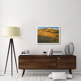 Kelso Dunes And Grasses, Mojave National Preserve, California-Paper Art-34,,X26,,
