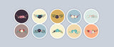 woopme Set of 5 Magnetic Romantic Colorful Flowers Bookmark for Book Lovers Readers Students Gift Magnetic Page Clips Folding