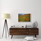Hills Covered With California Poppies And Lupine Tehachapi Mountains, California-Paper Art-38,,X26,,
