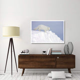 Arctic Fox On Snow Drift, Tundra, Arctic-Paper Art-50,,X34,,