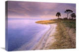 Beach Along Saint JosephS Bay, Florida-Canvas Art-24X18