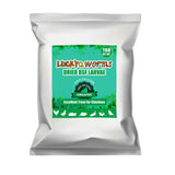 LuckyQworms Dried Black Solidier Fly Larvae 11LBS, 85X More Calcium Than Mealworms High-Protein BSF Larvae Chicken Treats Non-GM