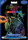 Royal Brush RAINMIN101 Engraving Rainbow Mini Tropical Fish, Multicolor