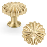 FAPUAL 20 Pack Gold Cabinet Knobs for Kitchen Cabinets and Dresser Drawers