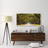 Path Lined With Oak Trees-Paper Art-62,,X32,,
