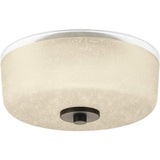 Progress Lighting P3620-20 Alexa Close-to-Ceiling, Bronze