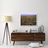 La Sal Mountains And Globemallows Salt Valley, Arches National Park, Utah-Paper Art-42,,X32,,