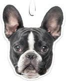 Spoontiques French Bulldog Air Freshener
