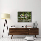 Mandarin Duck Male And Female, Jurong Bird Park, Singapore-Paper Art-42,,X32,,