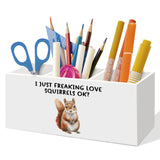 LLOKARNORA Funny Squirrel Gifts Pen Holder for Home Office Desk, Squirrels Home Desk Decor, Squirrel Lovers Gifts for WomenTheme