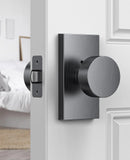 Calzibeno Satin Chrome Door Knobs, 5 Pack Privacy Door Knob Interior, Rectangular Modern Door Handle for Bedroom, Bathroom, Stud