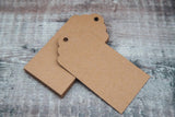 Haoser Pack of 24 Recycled Kraft Paper Gift Tags White/Brown Blank Tags 4.5 x 9 cm with String Wedding Favour, DIY Label