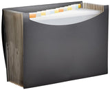 Spotink Basics Expanding File Folder, Letter Size (Fits A4 Paper) Black With 13 Pockets