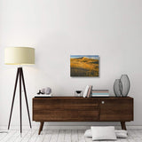 Kelso Dunes And Grasses, Mojave National Preserve, California-Canvas Art-24X18