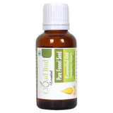 Cloud Bud Pure Fennel Seed Essential Oil 15ml 0.507oz Foeniculum Vulgare 100% Pure and Natural Therapeutic Grade
