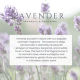 Le Blanc® Lavender Dryer Sachet - Double Pack