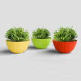 Yuccabe Italia Shera Wave Ktr Plastic 10 Inch Flower Pot 3 Piece Set Of Round Durable Planters For Plant Unbreakable Planter For