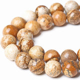 Natural Picture Jasper Loose Beads for Jewelry Making 12mm Round Semi Precious Gemstone 15 inch(31-32pcs/strand)