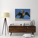 Double-Crested Cormorant Drying Its Wings, North America-Paper Art-50,,X38,,