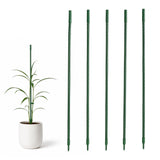 The Better Home Plant Support Sticks For Climbing Plants | Pack Of 5 Garden Stakes | Green Plastic Canes For Indoor Outdoor Balc