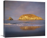 Island, Harris Beach State Park, Oregon-Canvas Art-22X19.58