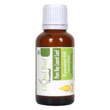 Cloud Bud Pure Bay Laurel Leaf Essential Oil 30ml 1.01oz Laurus Nobilis 100% Pure and Natural Therapeutic Grade