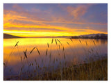Sunrise At San Luis Reservoir, San Joaquin Valley, California-Paper Art-34,,X26,,