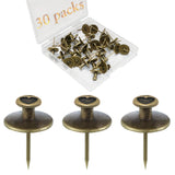 30 PCS Push Pins Picture Hanger Hooks, Double Headed Nails Push Pin Thumbtacks for Wall Hangings Picture, Decorative Small Hook