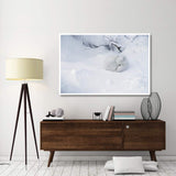 Arctic Fox Curled Up In The Snow, Churchill, Manitoba, Canada-Paper Art-62,,X42,,