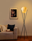 Lightdot 66 Globe Moon Floor Lamp for Living Room Modern Black Tripod Floor Lamp with 3D Printing Frosted Shade E26 300K Bulbs I