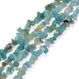 Genuine Amazonite Chip Beads 5-8mm Irregular Shaped Tumbled Stone Chips for Jewelry Making 1 Strand 32