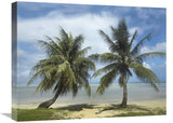 Palm Trees, Agana Beach, Guam-Canvas Art-24X18