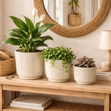 Xtore Linea Ceramic Planter Set | Minimal StraightLine Plant Pots For Home & Office DCor (Set Of 3, Cream, Planter Only)