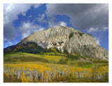 Marcellina Mountain And Aspen Forest In Raggeds Wilderness, Colorado-Paper Art-34,,X26,,
