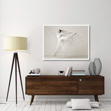 Leaping Beauty-Paper Art-50,,X38,,