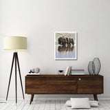 Grizzly Bear Mother And Yearling Cubs Drinking, Katmai National Park, Alaska-Paper Art-24,,X30,,