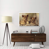 African Lion Cubs Resting On A Rock, Hwange National Park, Zimbabwe, Africa-Paper Art-50,,X34,,