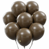 AFTERLOON Biodegradable Balloons 24 pcs Brown 10 Inch, Matte Color Thickened Extra Strong Latex Helium Float, for Baby Shower Ge