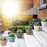 Stylex Store Plastic Round Flower Pots With Drainage Hole Saucers | Durable Outdoor Indoor Wave Pattern Planters With Tray | Pla