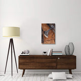 Cork Oak Bark Being Harvested For Wine Corks And Other Products, San Vicente De Alcantara, Extremadura, Spain-Canvas Art-20X30